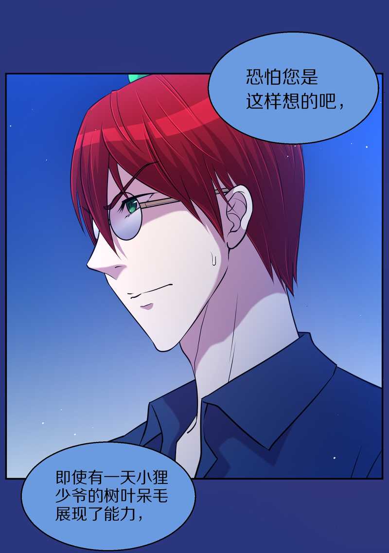 毛球星传说 第74集(1/2)-第74话