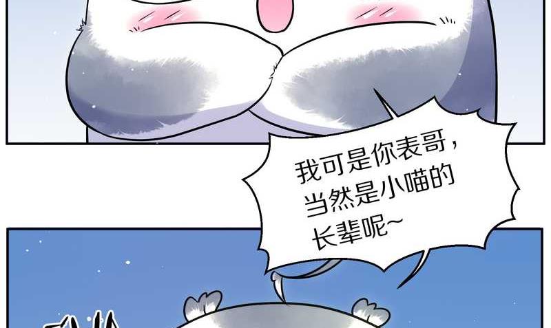 毛球星传说 第78集(1/2)-第78话