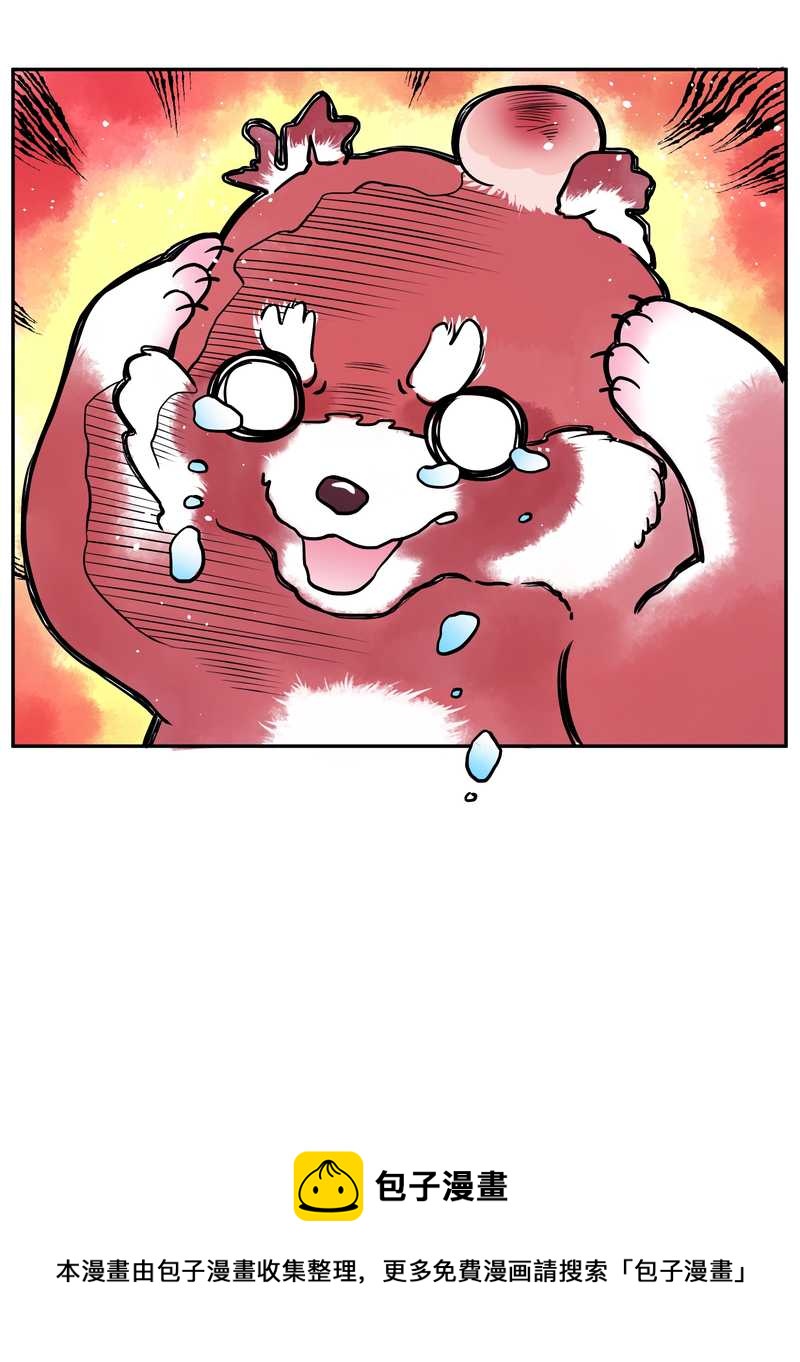 毛球星传说 第80集(1/2)-第80话