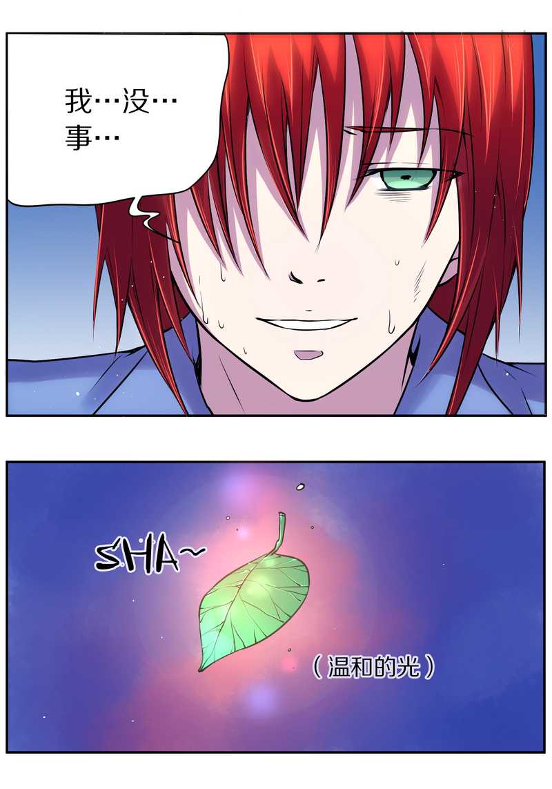 毛球星传说 第80集(1/2)-第80话