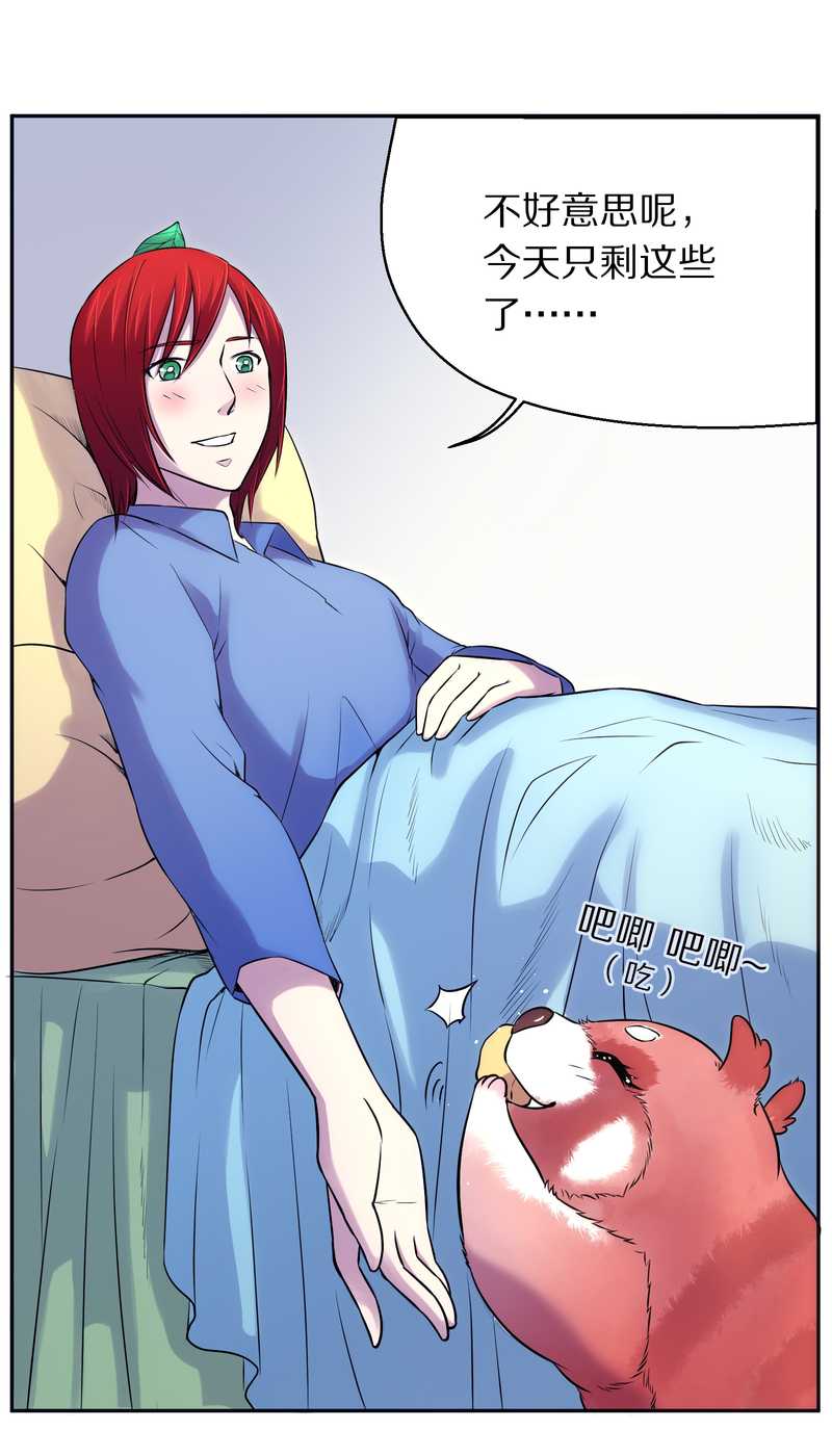 毛球星传说 第80集(1/2)-第80话