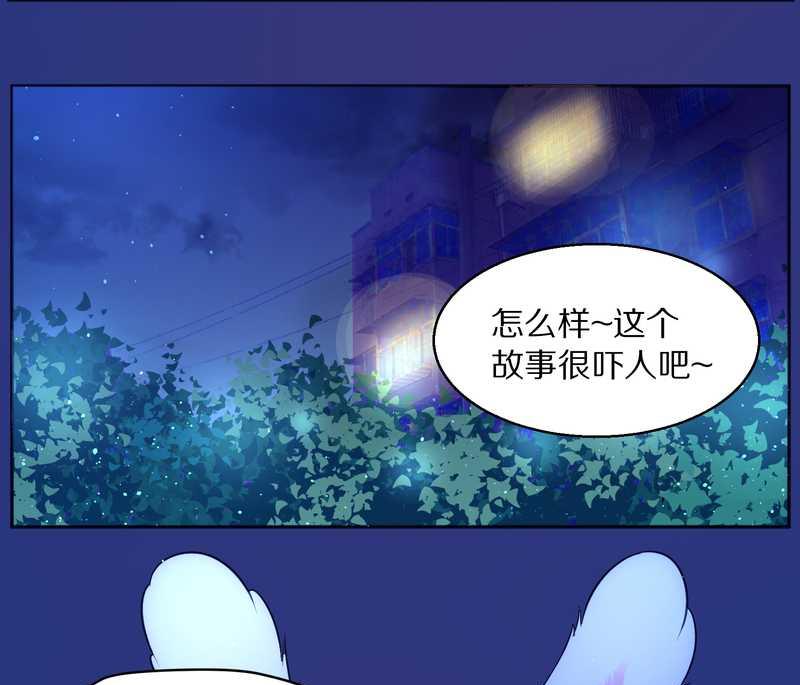 毛球星传说 第82集(1/2)-第82话