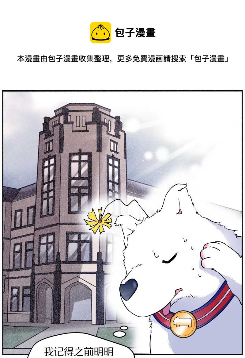 毛球星传说 第84集(1/2)-第84话