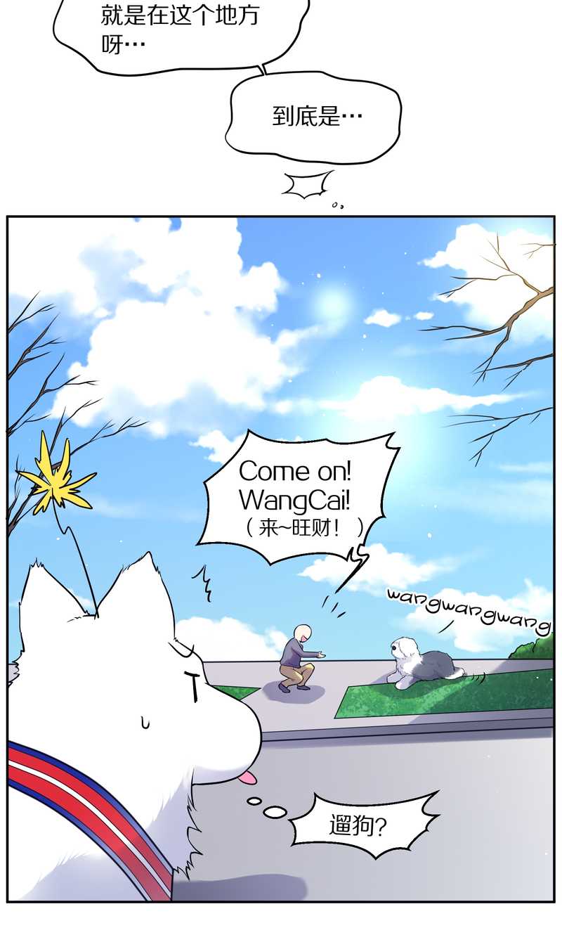 毛球星传说 第84集(1/2)-第84话