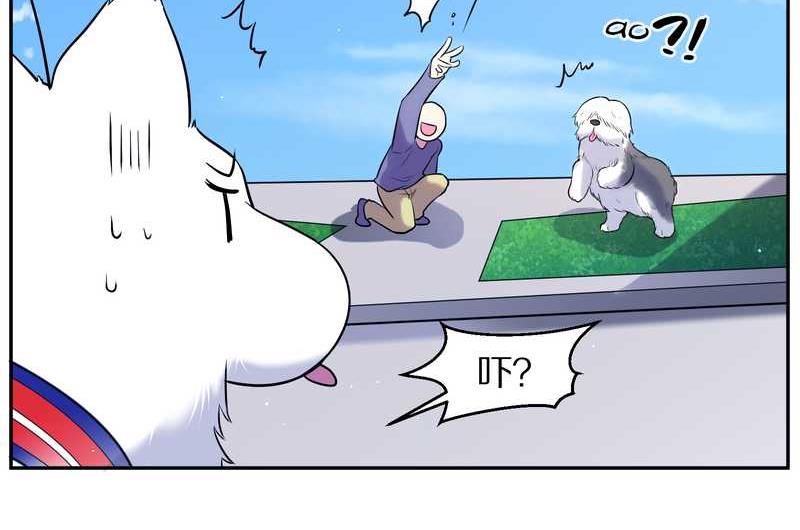 毛球星传说 第84集(1/2)-第84话