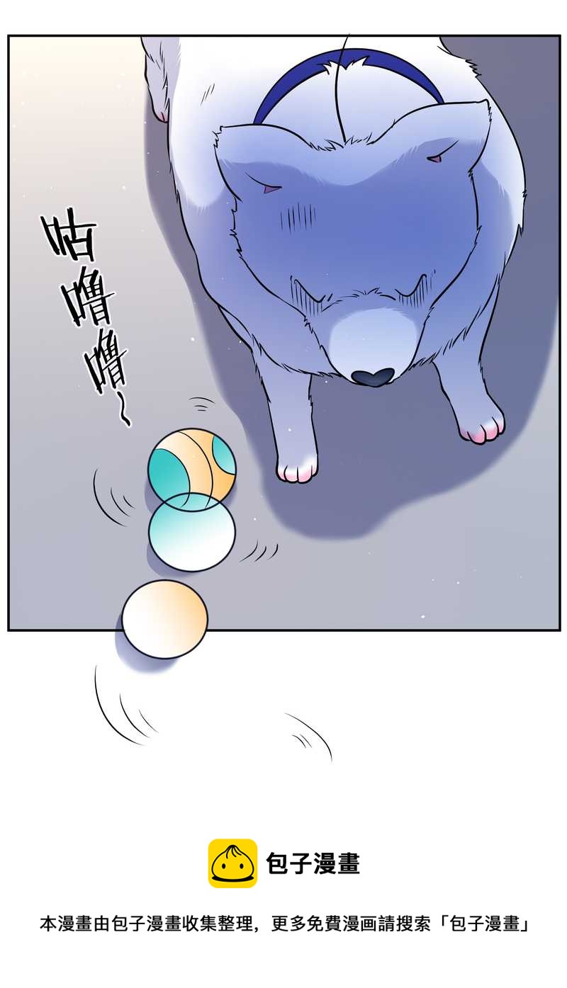 毛球星传说 第84集(1/2)-第84话