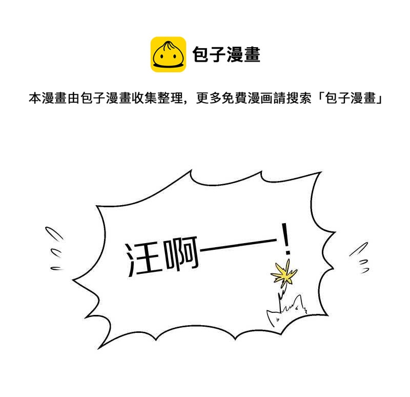 毛球星传说 第84集(1/2)-第84话