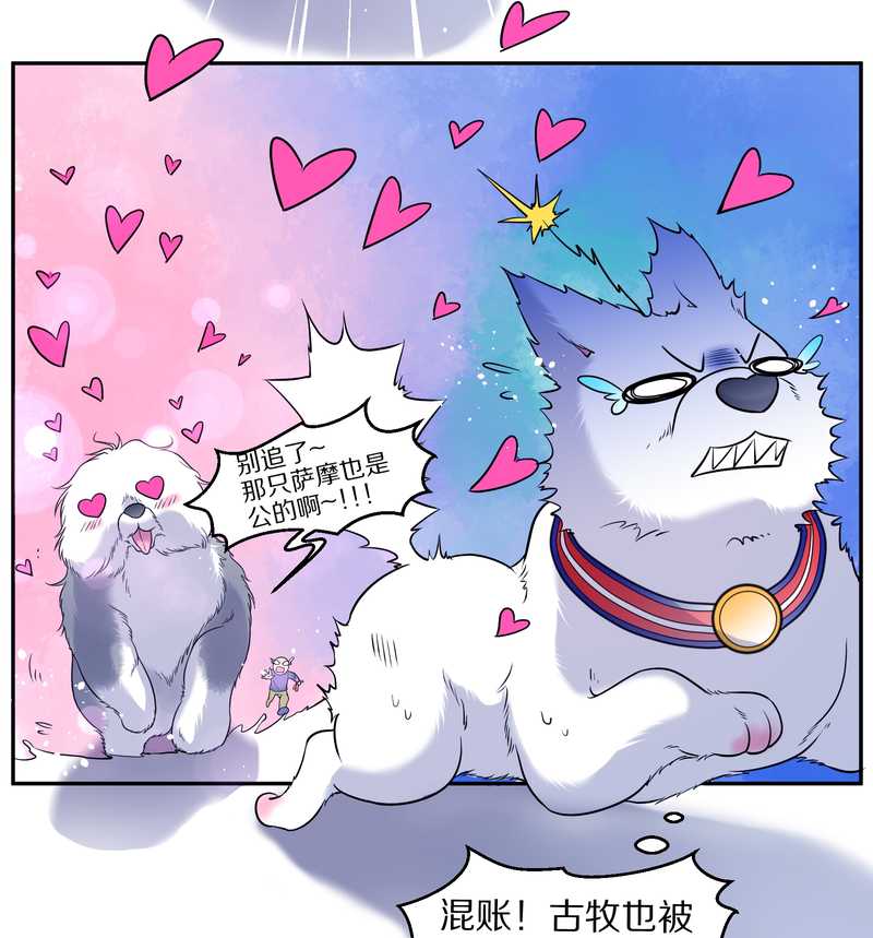 毛球星传说 第84集(1/2)-第84话