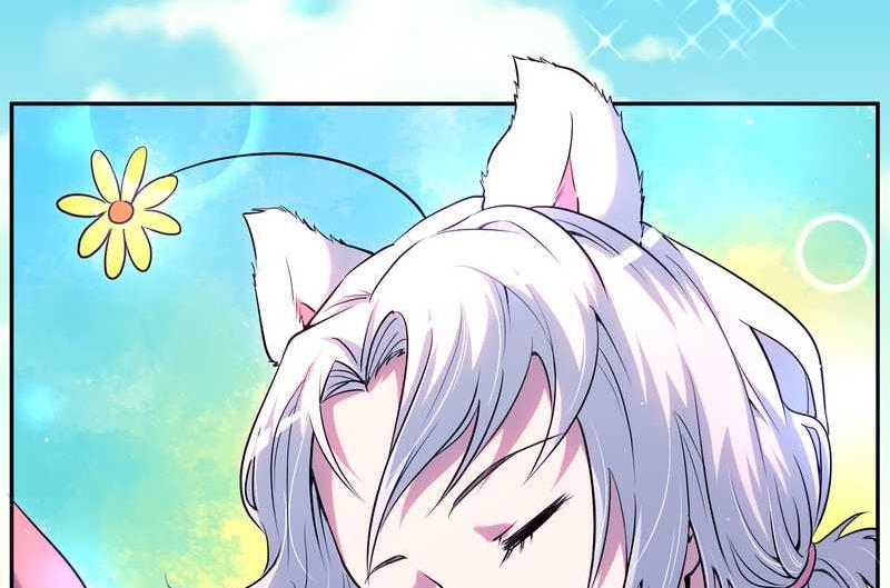 毛球星传说 第84集(1/2)-第84话