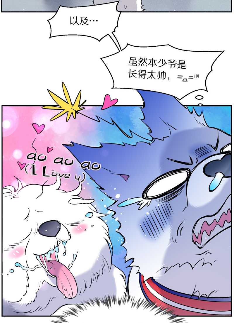 毛球星传说 第84集(1/2)-第84话