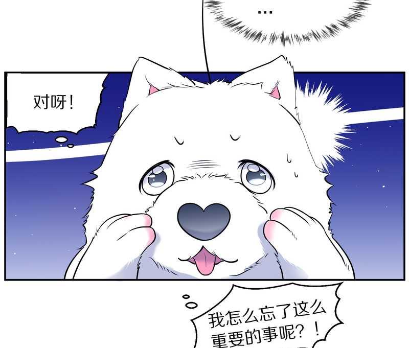 毛球星传说 第84集(1/2)-第84话