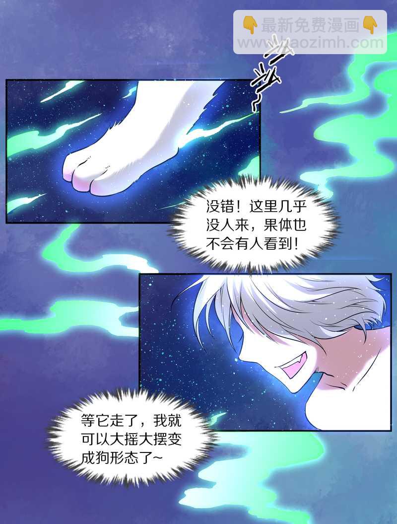 毛球星傳說 - 毛球星傳說 第84集(1/2) - 7