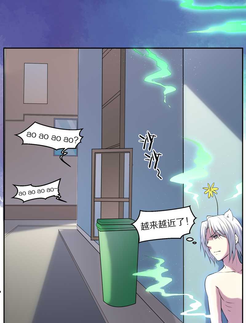 毛球星传说 第84集(1/2)-第84话