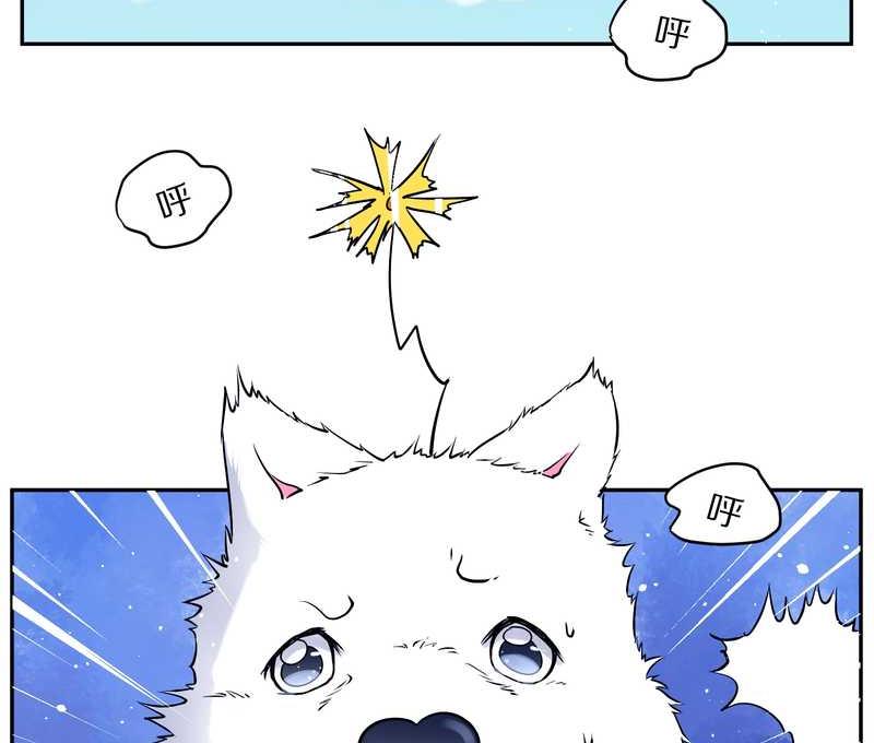 毛球星传说 第84集(1/2)-第84话