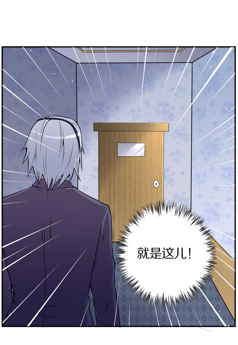 毛球星传说 第86集(1/2)-第86话