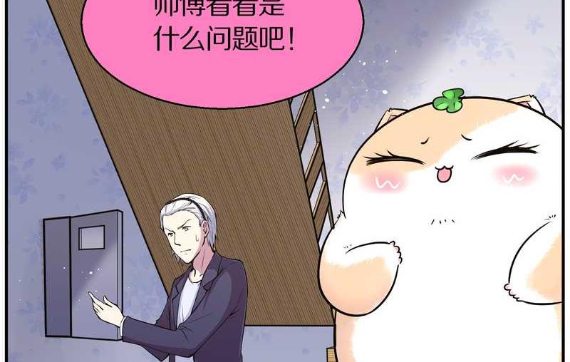 毛球星传说 第86集(1/2)-第86话