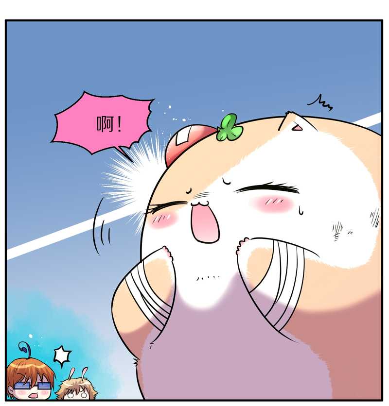 毛球星传说 第90集(1/2)-第90话