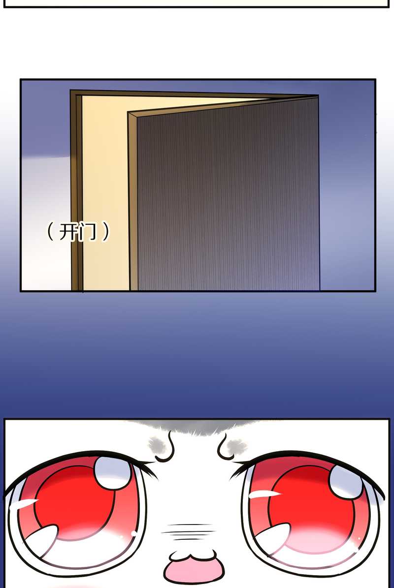 毛球星传说 第90集(1/2)-第90话