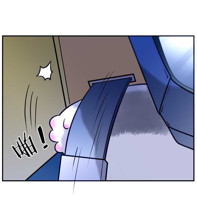 毛球星传说 第90集(1/2)-第90话