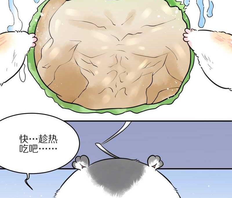 毛球星传说 第10集-第10话