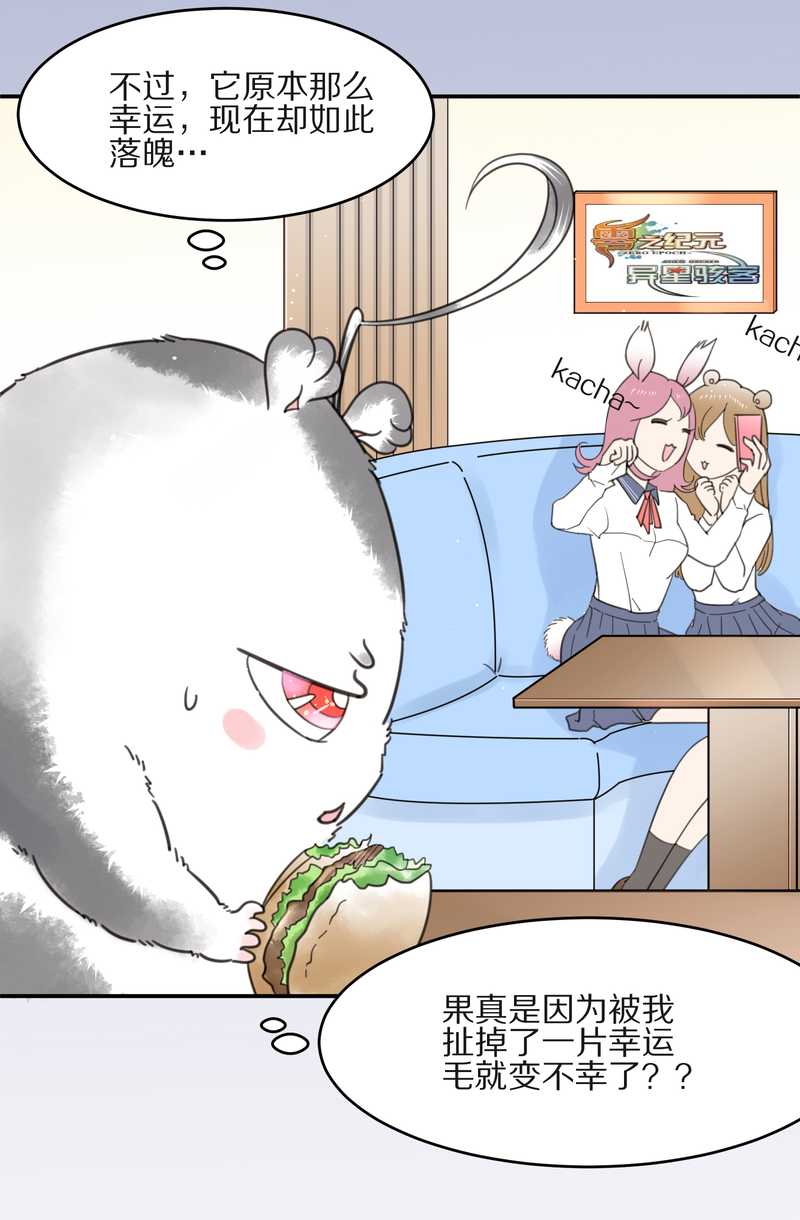 毛球星传说 第10集-第10话