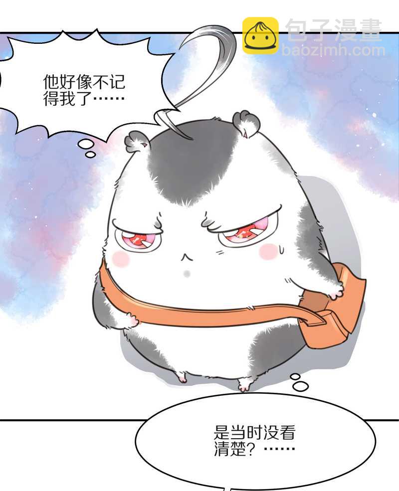 毛球星传说 第10集-第10话