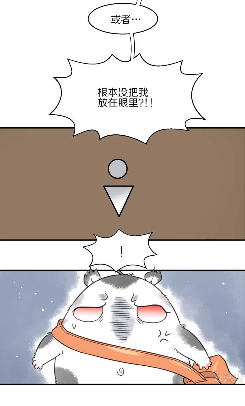 毛球星传说 第10集-第10话