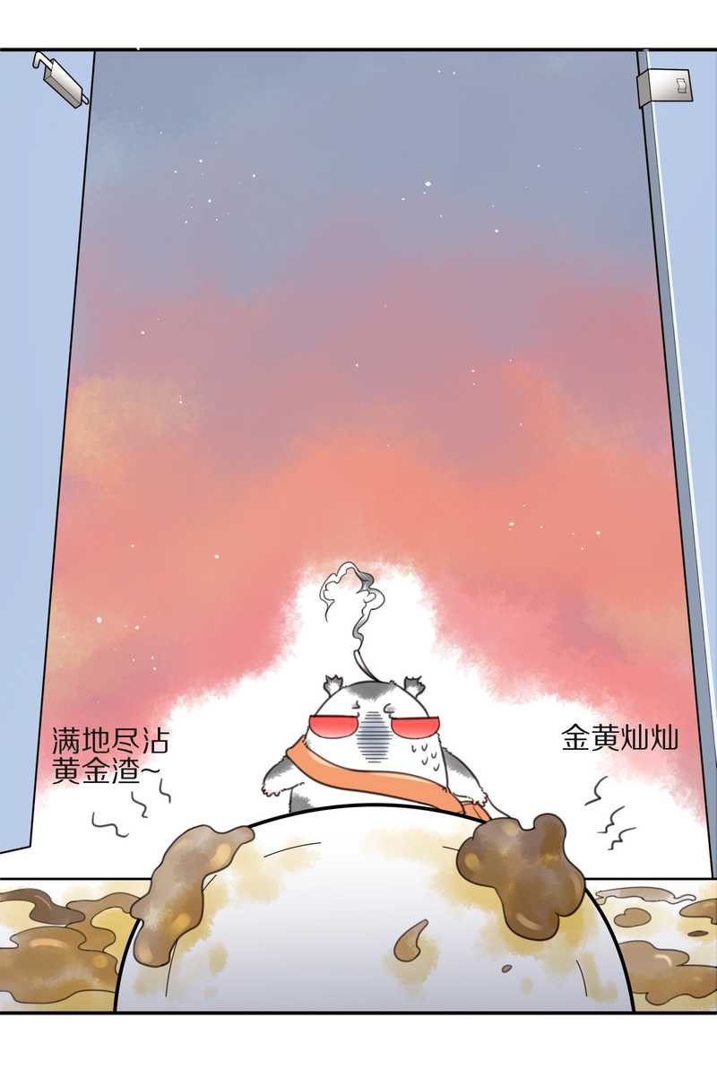 毛球星传说 第10集-第10话