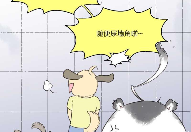 毛球星传说 第10集-第10话