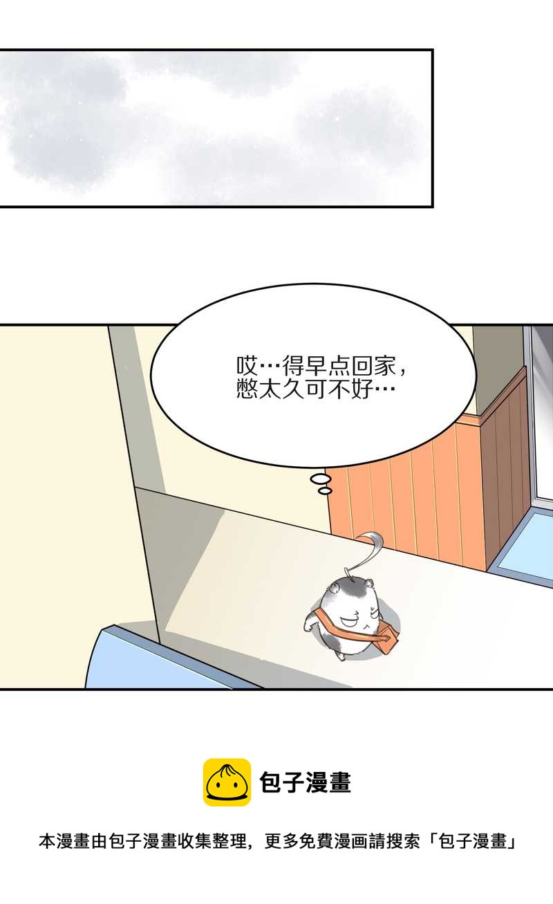 毛球星传说 第10集-第10话