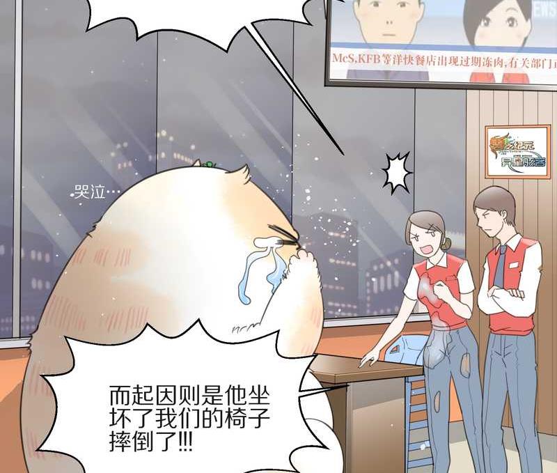 毛球星传说 第10集-第10话