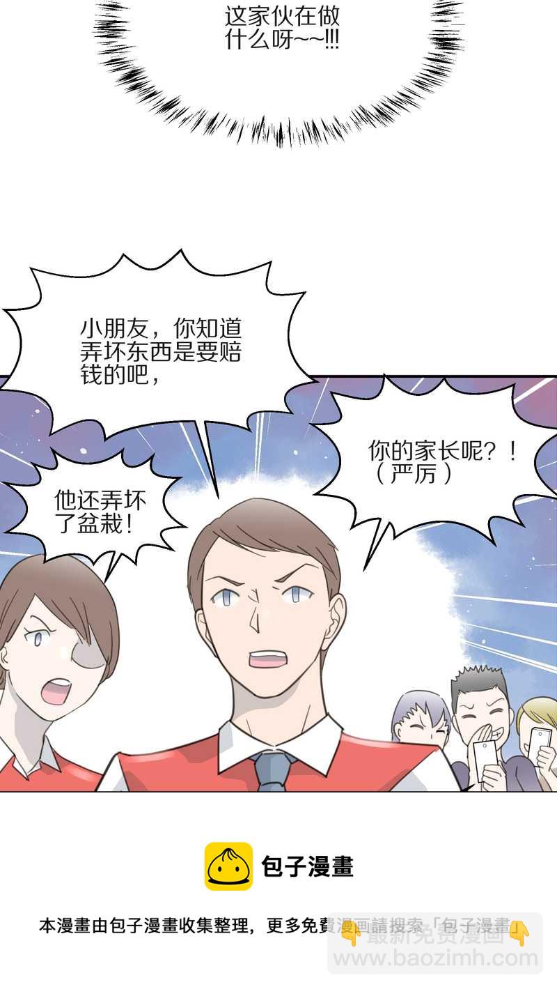 毛球星传说 第10集-第10话