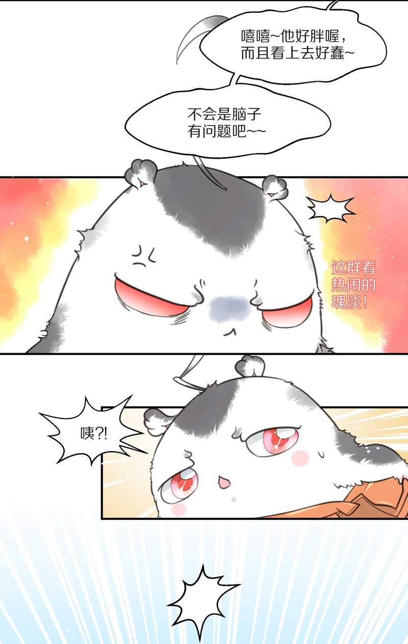 毛球星传说 第10集-第10话