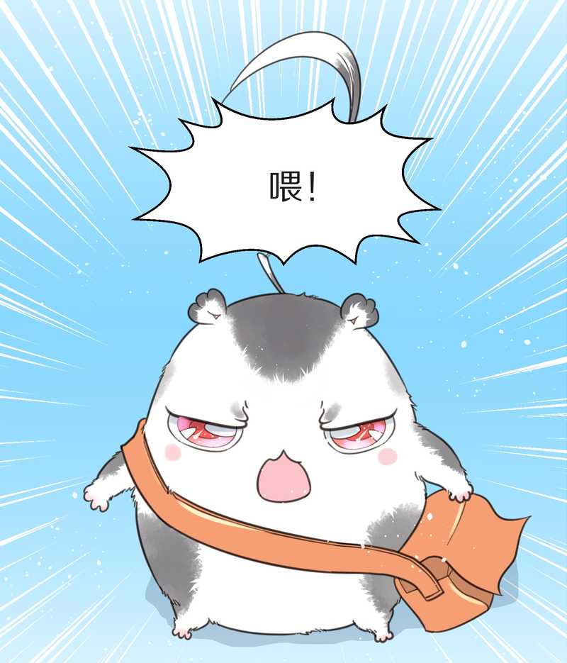 毛球星传说 第10集-第10话