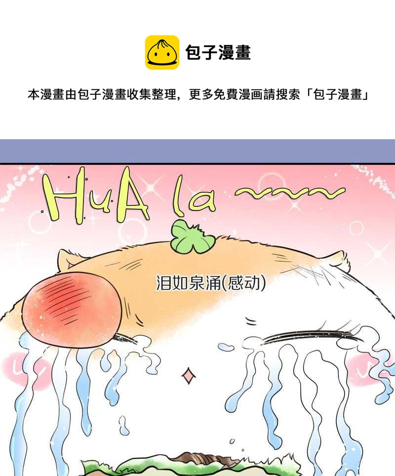 毛球星传说 第10集-第10话