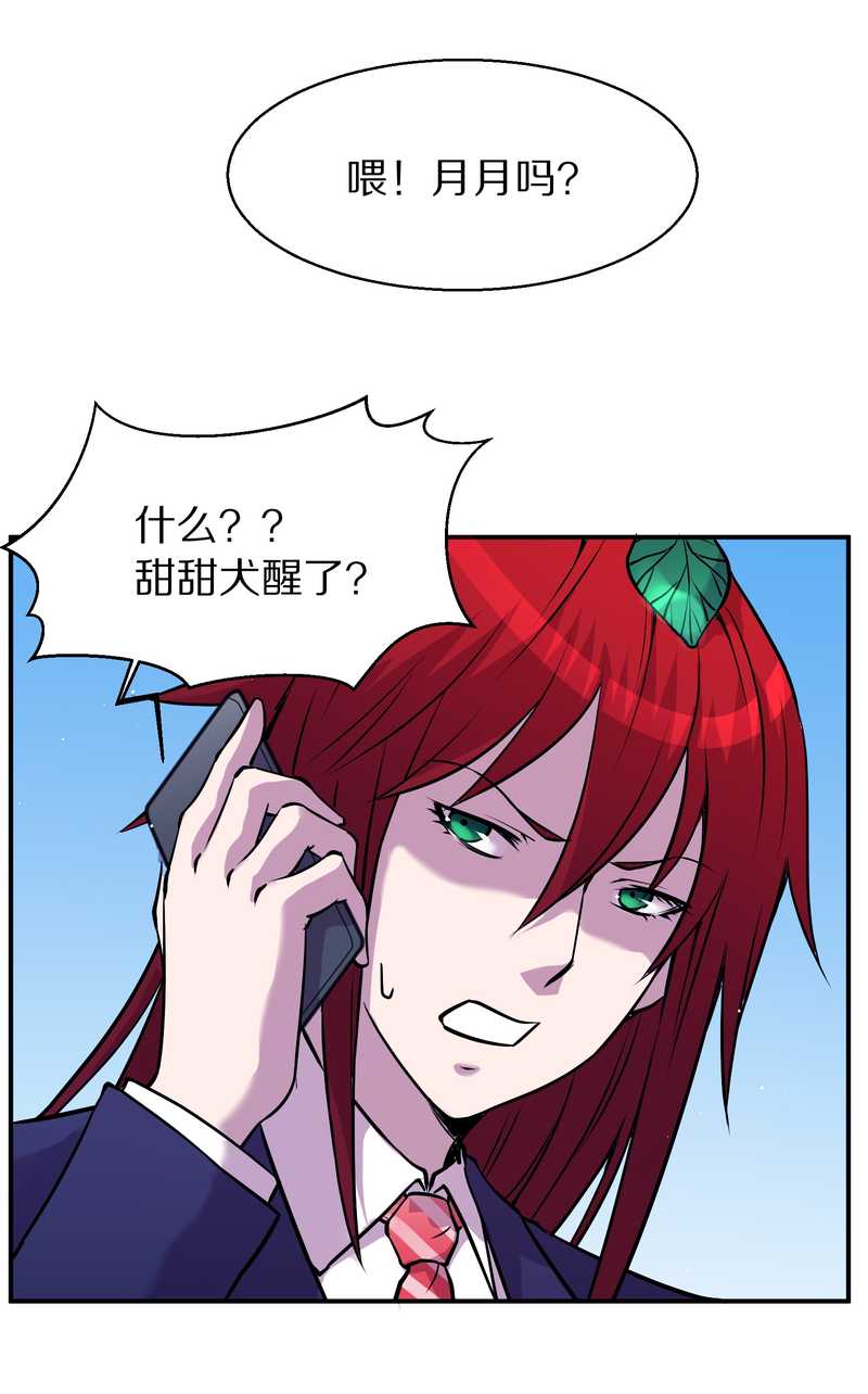 毛球星传说 第94集(1/3)-第94话