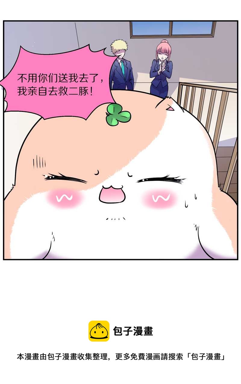 毛球星传说 第94集(1/3)-第94话
