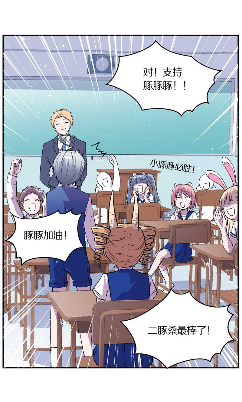 毛球星传说 第98集(1/3)-第98话