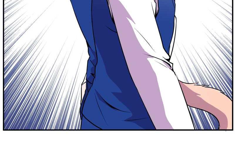 毛球星传说 第98集(1/3)-第98话