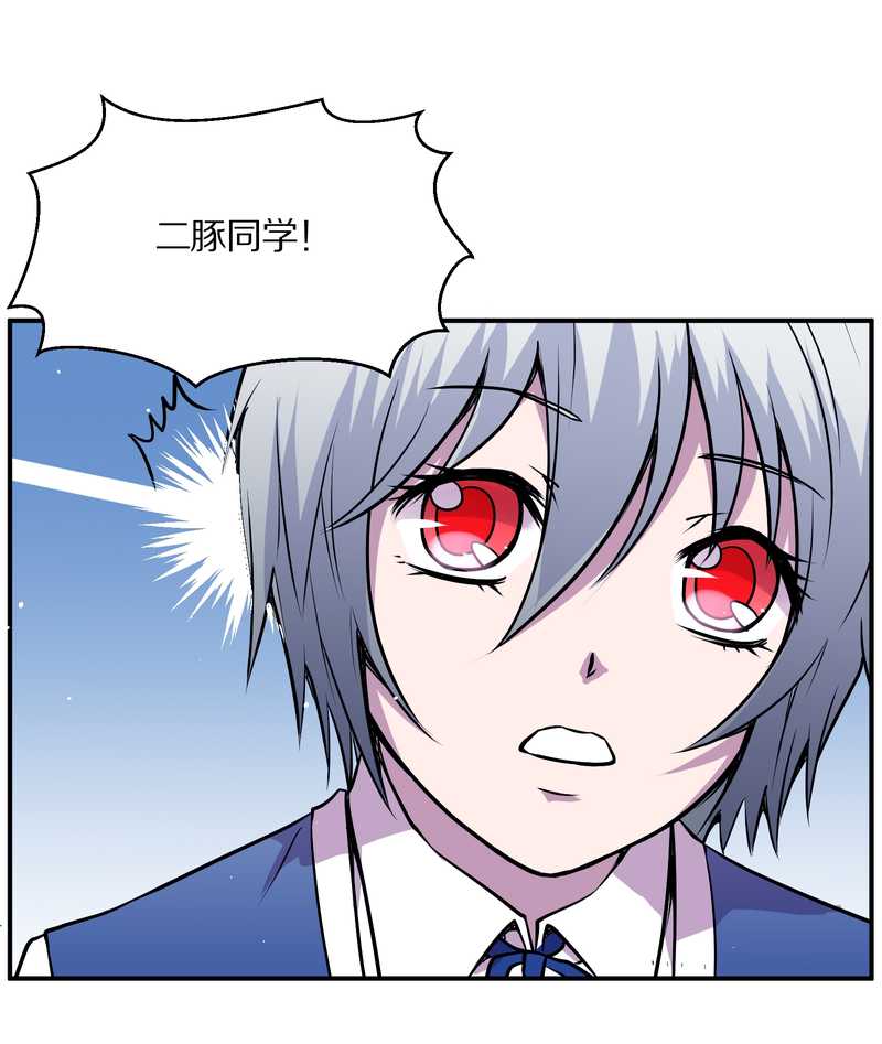 毛球星传说 第98集(1/3)-第98话