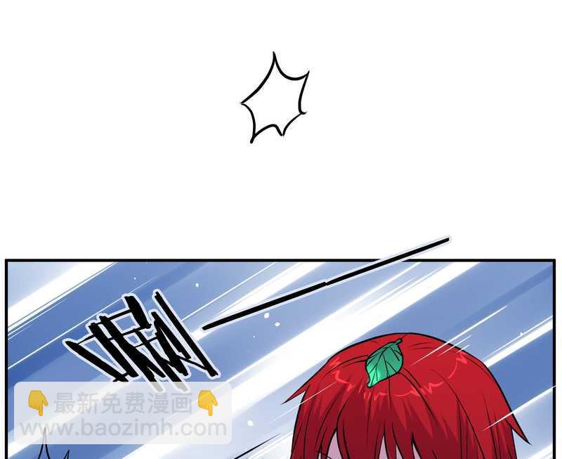 毛球星传说 第100集(1/3)-第100话