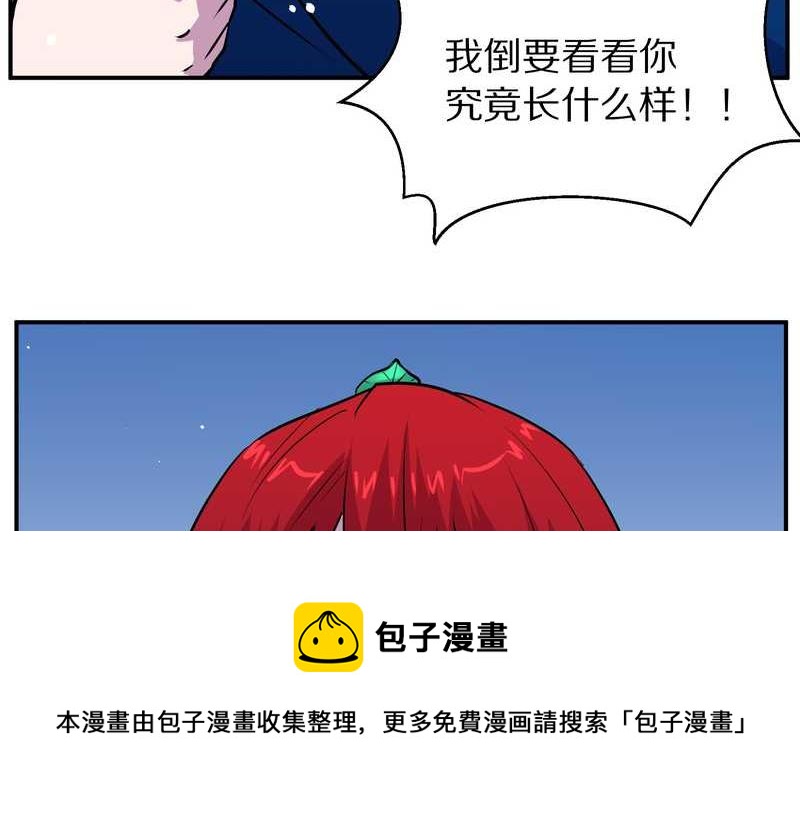 毛球星传说 第100集(1/3)-第100话