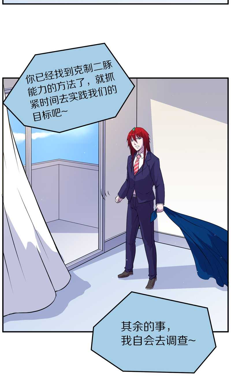 毛球星传说 第100集(1/3)-第100话