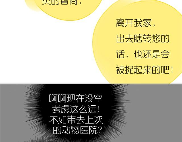 第18话 该带阿汪去看兽医吗？-第18话