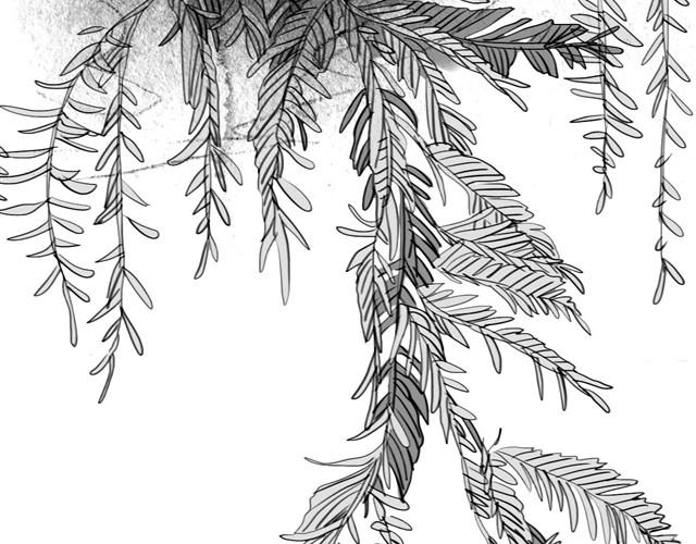 第34话 我可不是别人哦-第34话