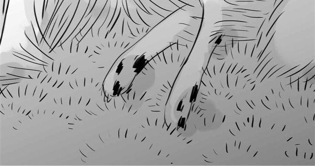 第59话 为什么又离开我了呢(1/2)-第58话