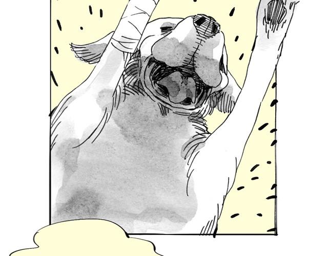 第8话 家里来了位汪星人-第8话