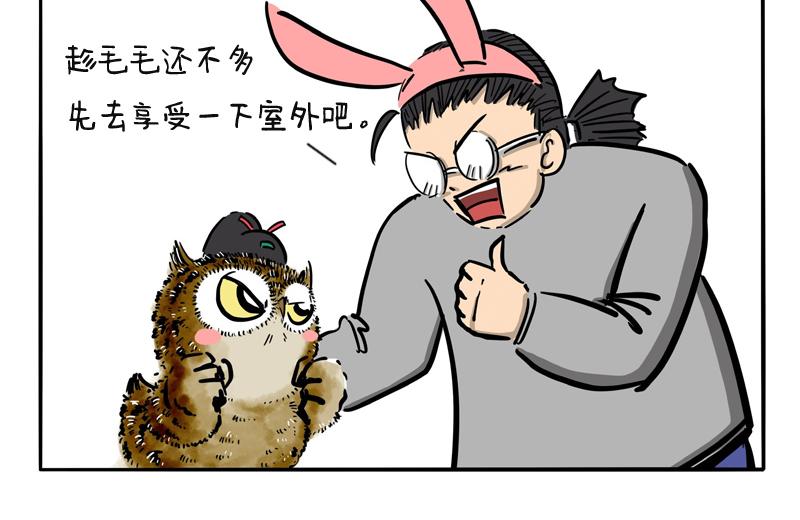 第10话 毛毛来袭-第10话