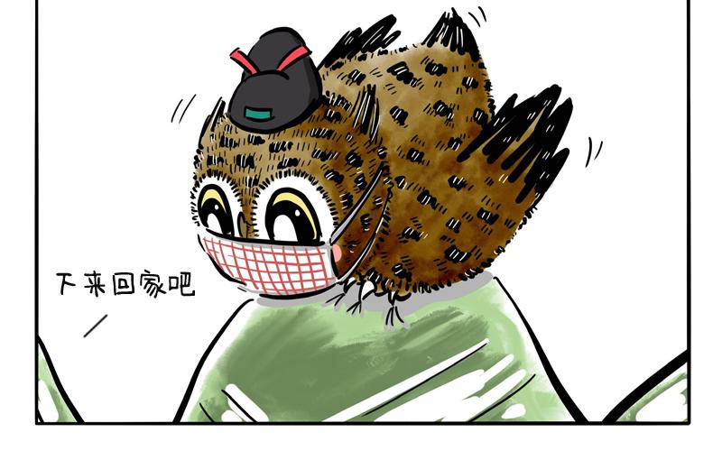 第10话 毛毛来袭-第10话