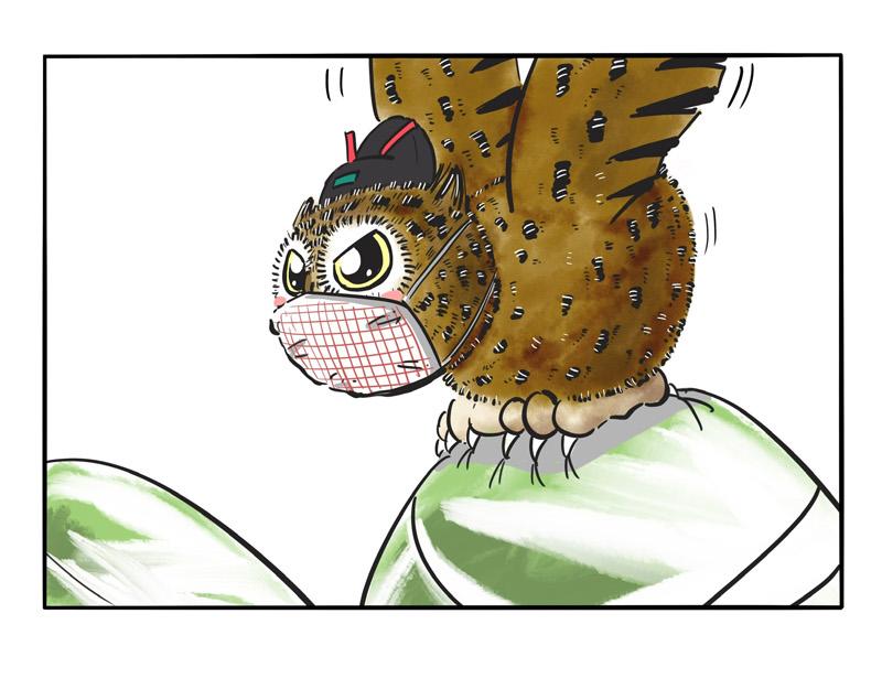 第10话 毛毛来袭-第10话